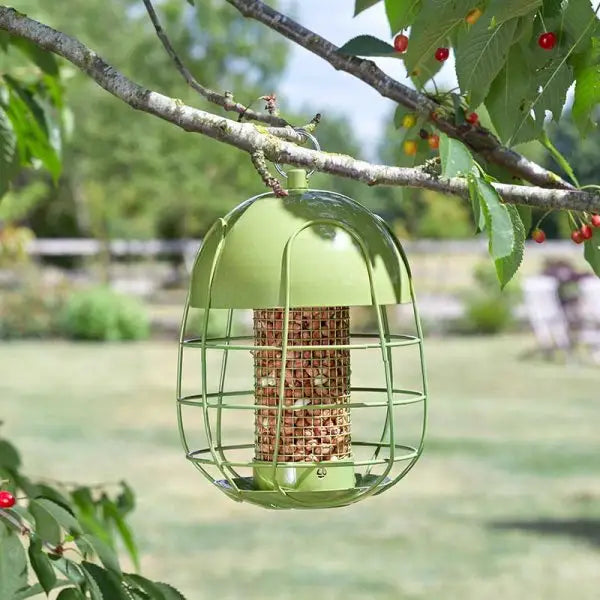 Smart Garden Acorn Squirrel Proof Peanut Feeder - Bird