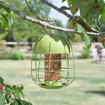 Smart Garden Acorn Squirrel Proof Peanut Feeder - Bird