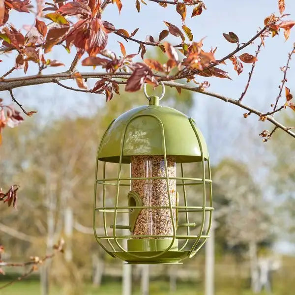 Smart Garden Acorn Squirrel Proof Seed Feeder - Bird Feeders
