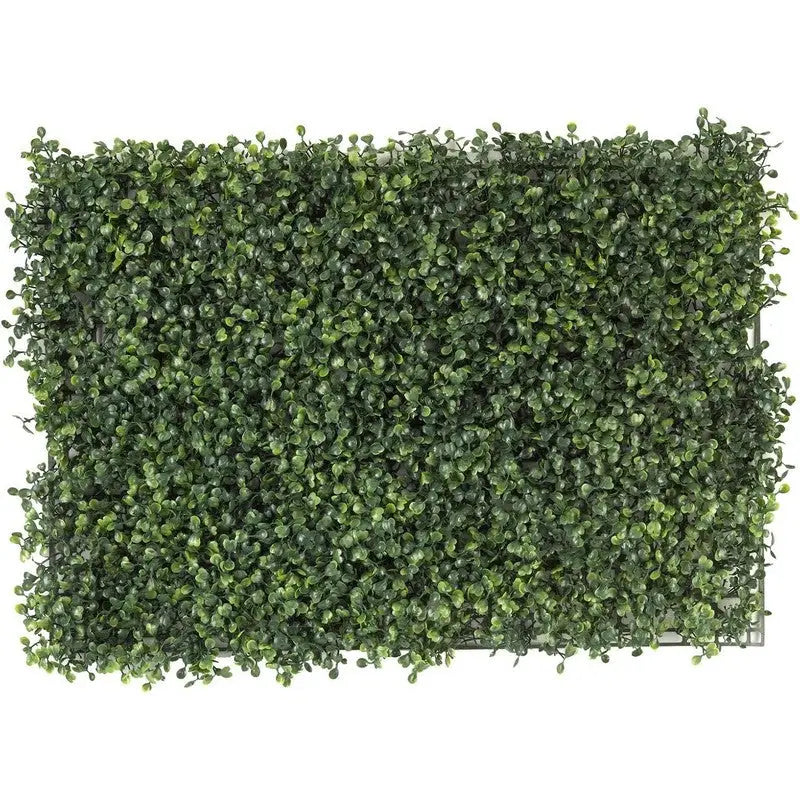Smart Garden Boxwood Screening Panel 60 x 40cm - Gardening