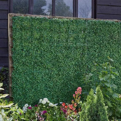 Smart Garden Boxwood Screening Panel 60X40cm - Gardening &