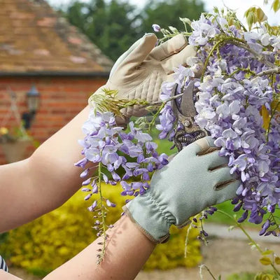 Smart Garden Briers Gloves Professional Advanced