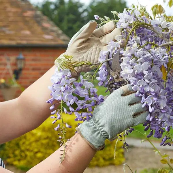 Smart Garden Briers Gloves Professional Advanced