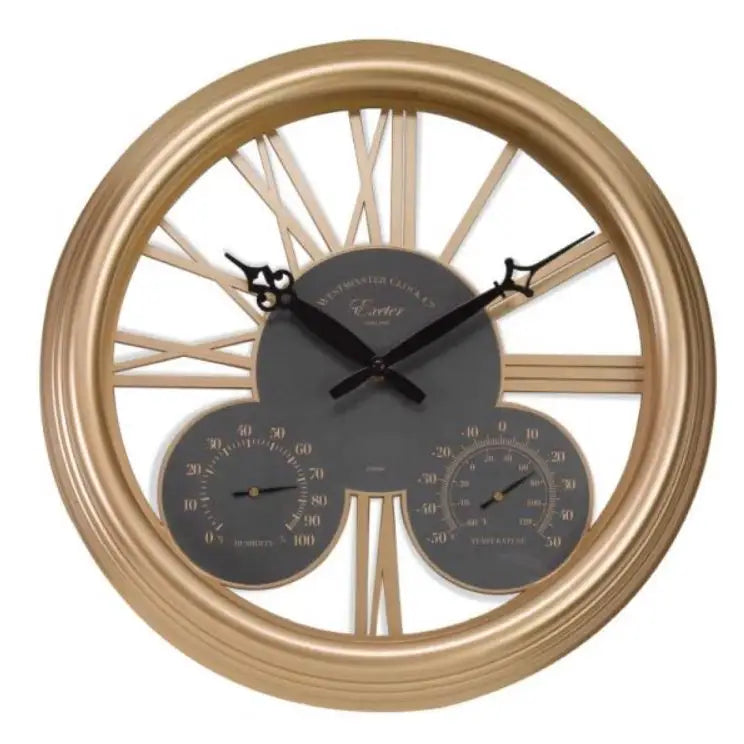 Smart Garden Exeter Wall Clock & Thermometer 15in - Rose