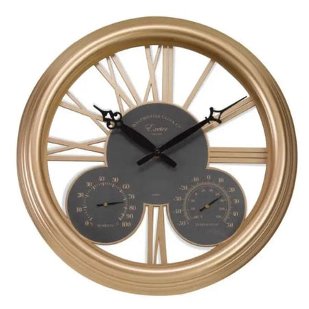Smart Garden Exeter Wall Clock & Thermometer 15in - Rose