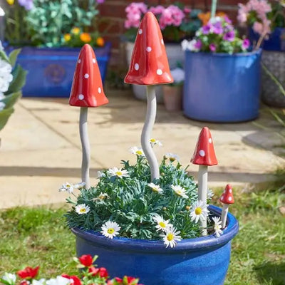 Smart Garden Fabulous Fungus - Gardening & Outdoors >>