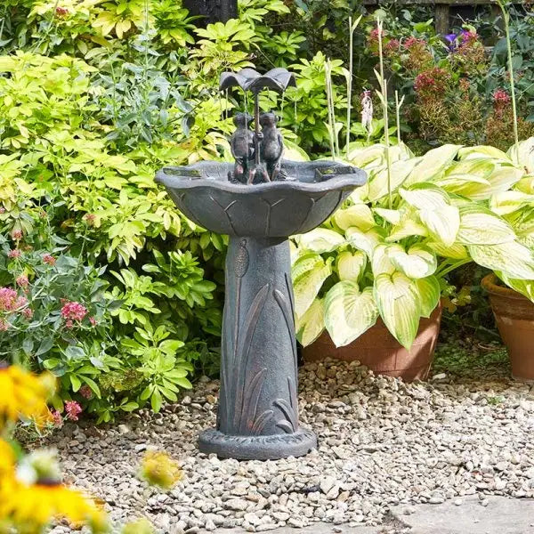 Smart Garden Frog Frolics Solar Powered Fountain - Gardening