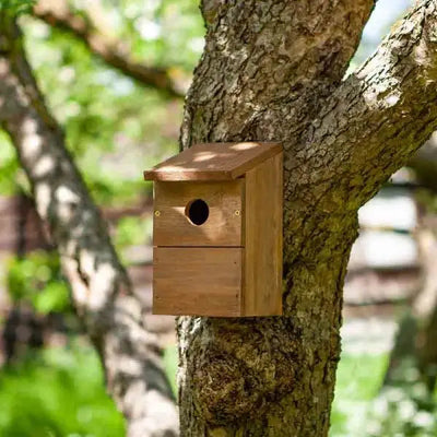 Smart Garden Nest Bird Box Classic - 21 X 13 X 11.5cm