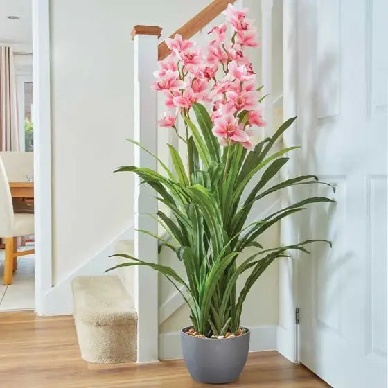 Smart Garden Orchid - 170cm - Gardening & Outdoors >>