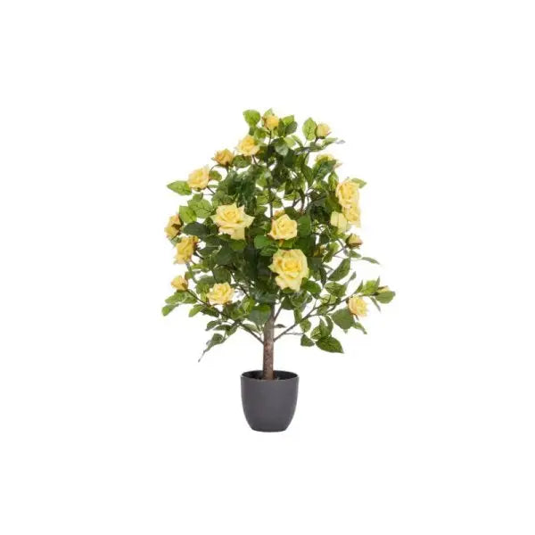Smart Garden Regent’s Roses - Sunshine Yellow - 80cm