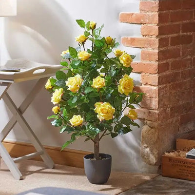 Smart Garden Regent’s Roses - Sunshine Yellow - 80cm