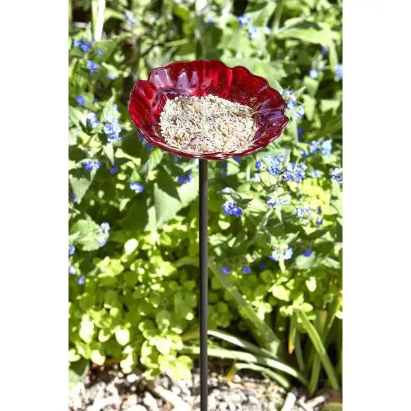 Smart Garden Rose Feeder Stake