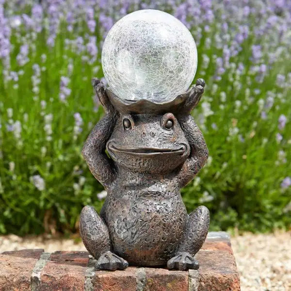 Smart Garden Silhouette Solar Gazing Frog - Gardening &