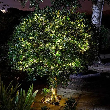 Smart Garden Solar Powered 100 Firefly String Lights Led