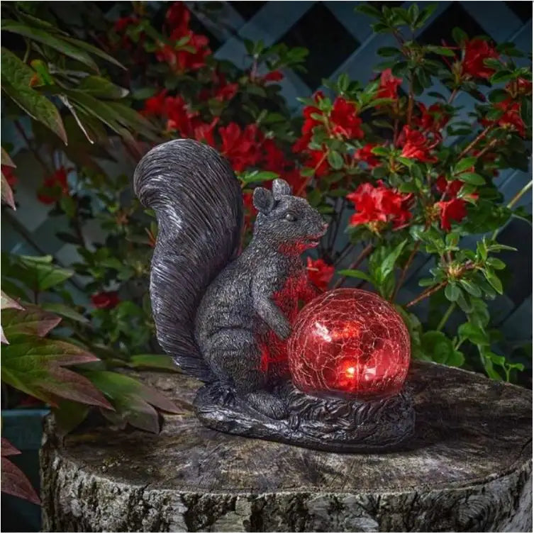 Smart Garden Squirrel Sphere - Outdoor Living