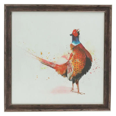 Standing Pheasant Framed Picture 50 x 50cm - Picture