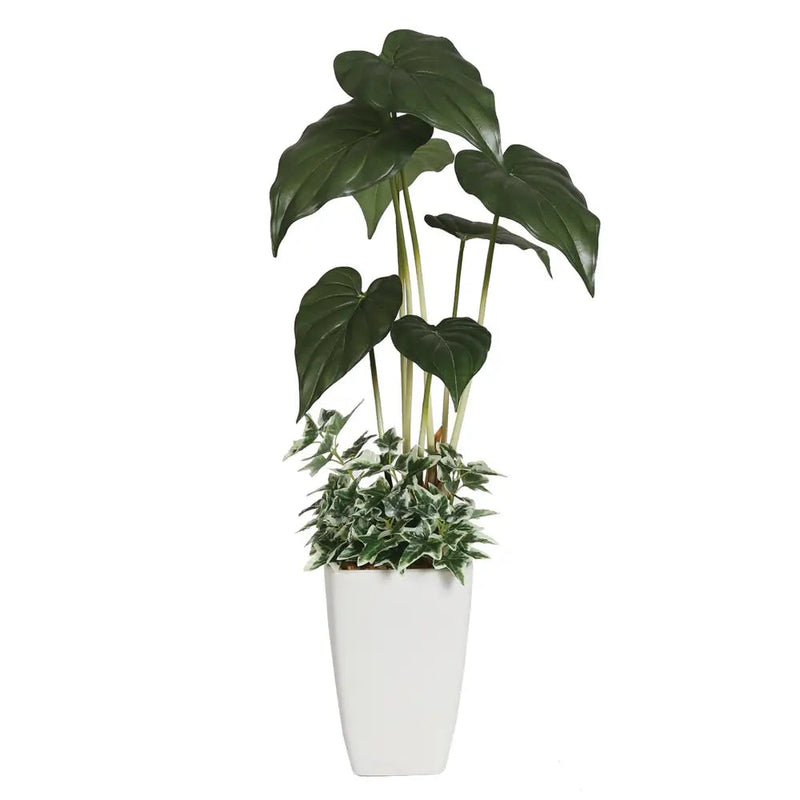 Straits Alocasia Leaf Plant In Pot 61cm - Homeware