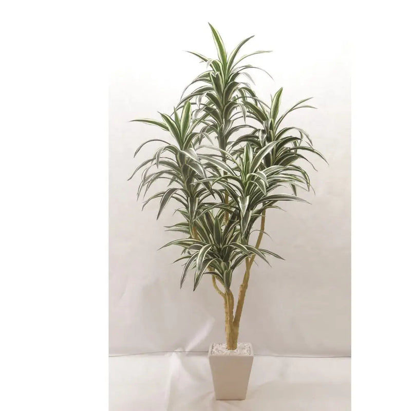 Straits Faux Dracaena Potted Plant 122cm - Homeware