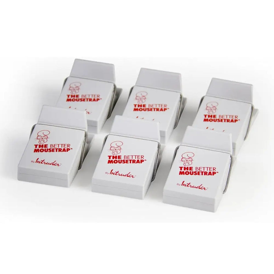 The Better Grey Plastic Mouse Trap By Intruder - 6 Pack