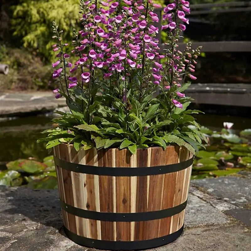 Tom Chambers Applewood Barrel Planter - Large 55cm - Pots &