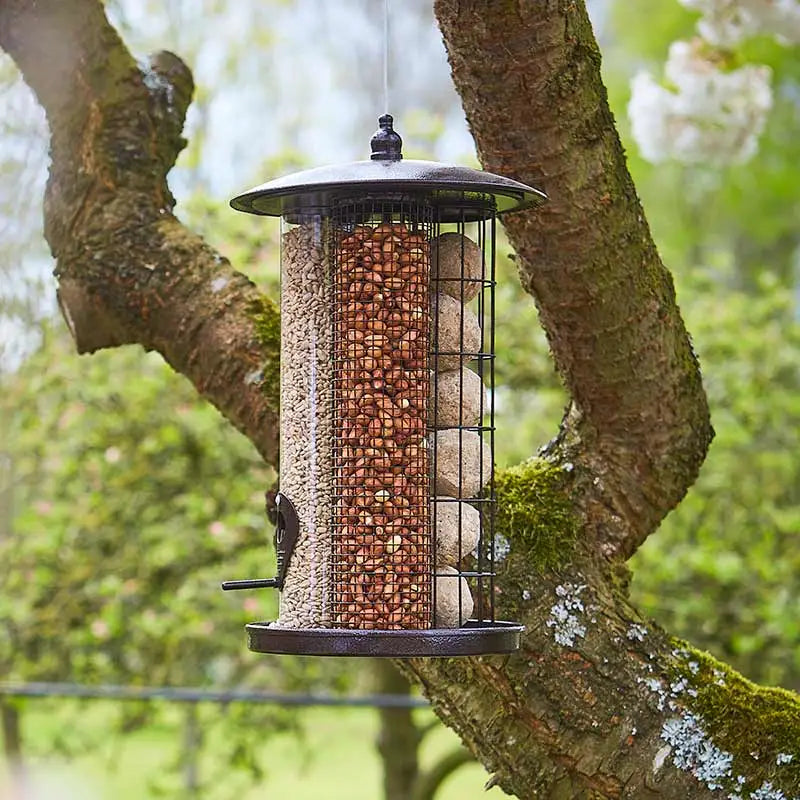 Tom Chambers Trinity Bird Feeder - Bird Care