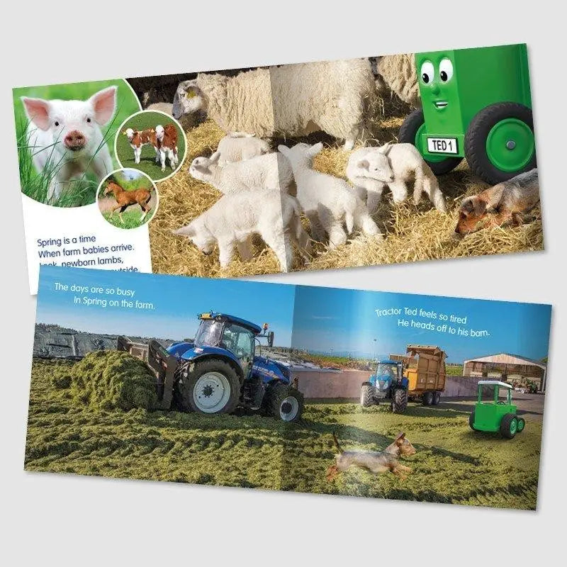 Tractor Ted Spring Day Book - Toys