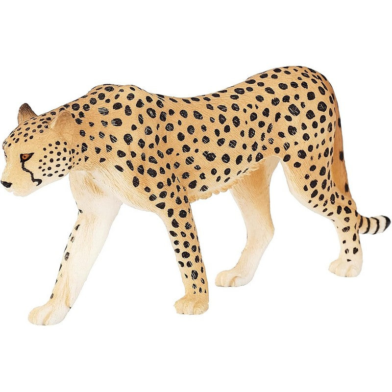 Animal Planet Male Cheetah