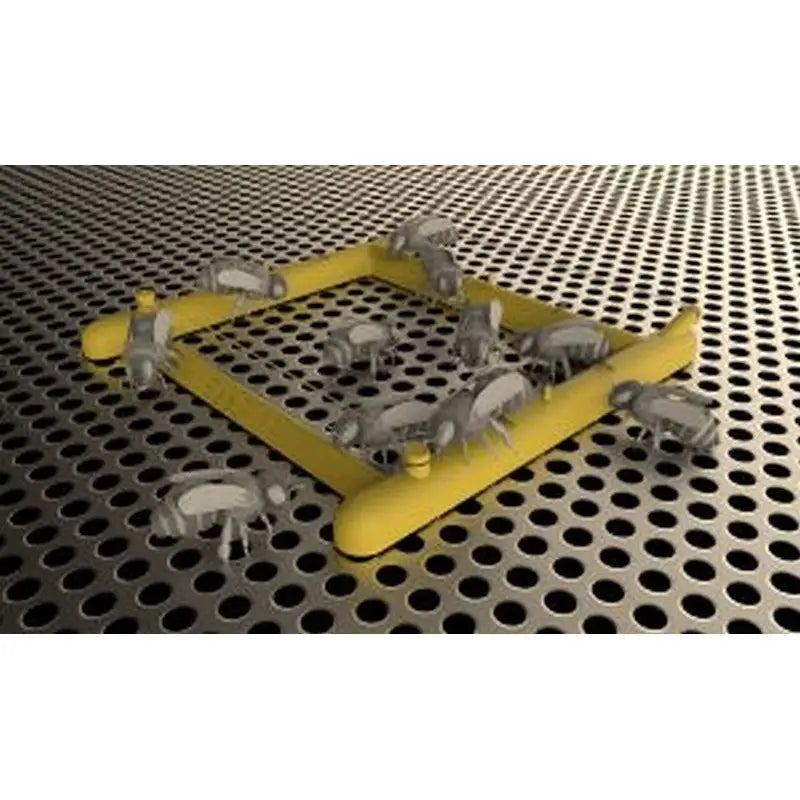 Vita Health Bee Gym Chemical Free Grooming For Honeybees -