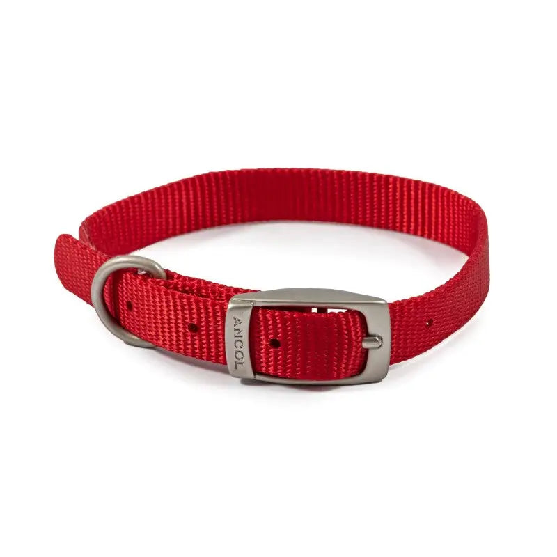 Viva Ancol Buckle Dog Collar 2 26-31cm Red - Pet Supplies
