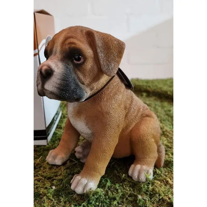 Vivid Arts Frost Proof Pet Pal Boxer Puppy - F - Homeware