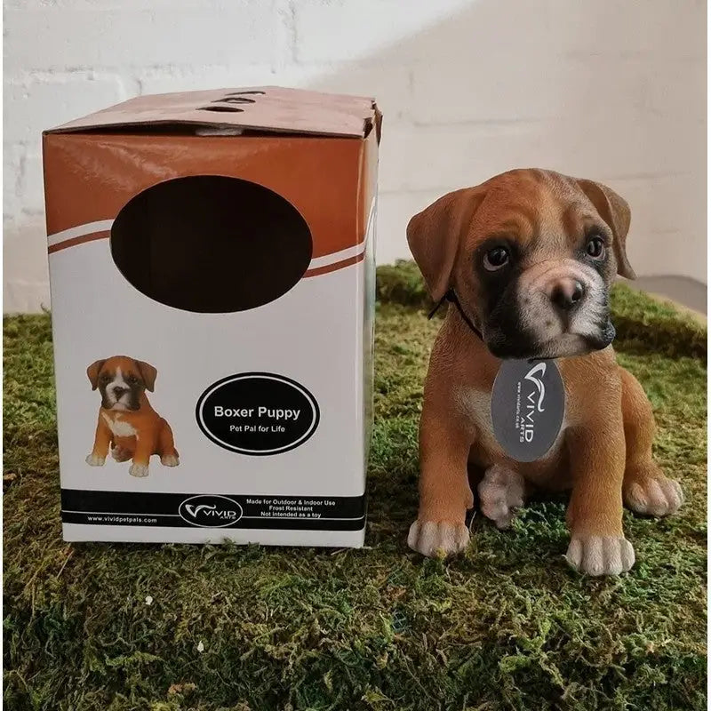 Vivid Arts Frost Proof Pet Pal Boxer Puppy - F - Homeware