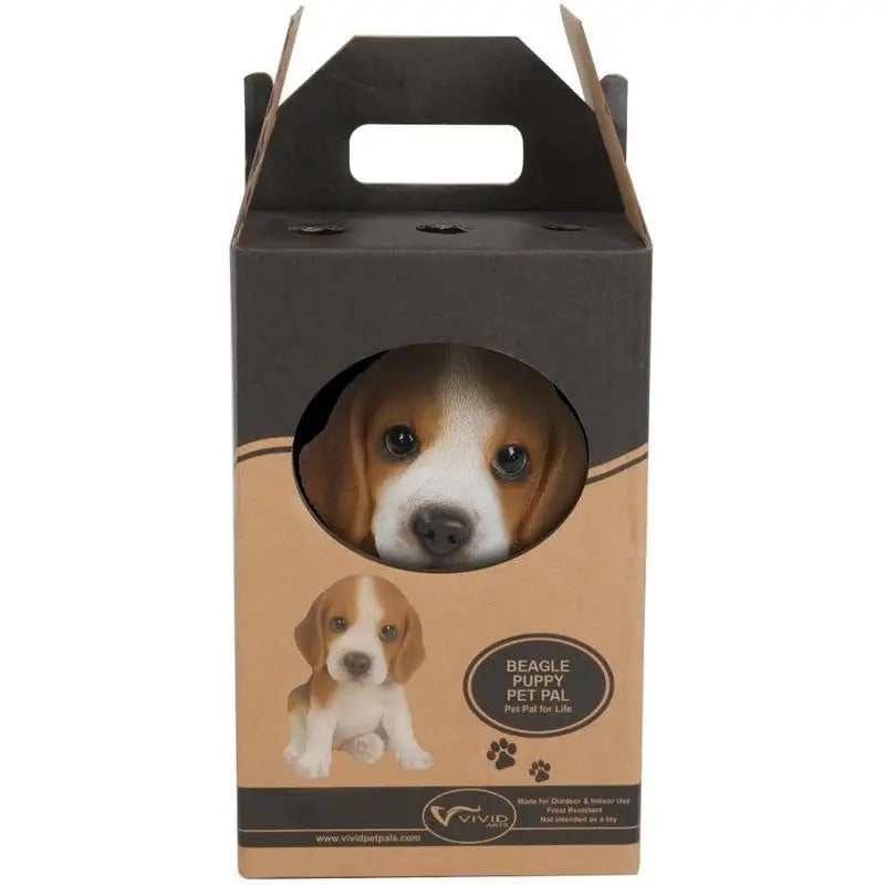 Vivid Arts Frost Resistant Puppy Pal Beagle Puppy - F -