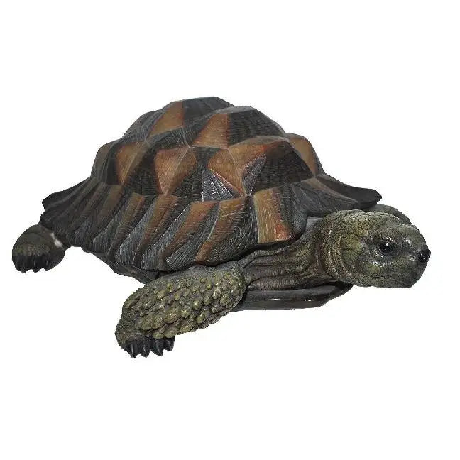 Vivid Arts N Friends Tortoise Garden Ornament - Ornament