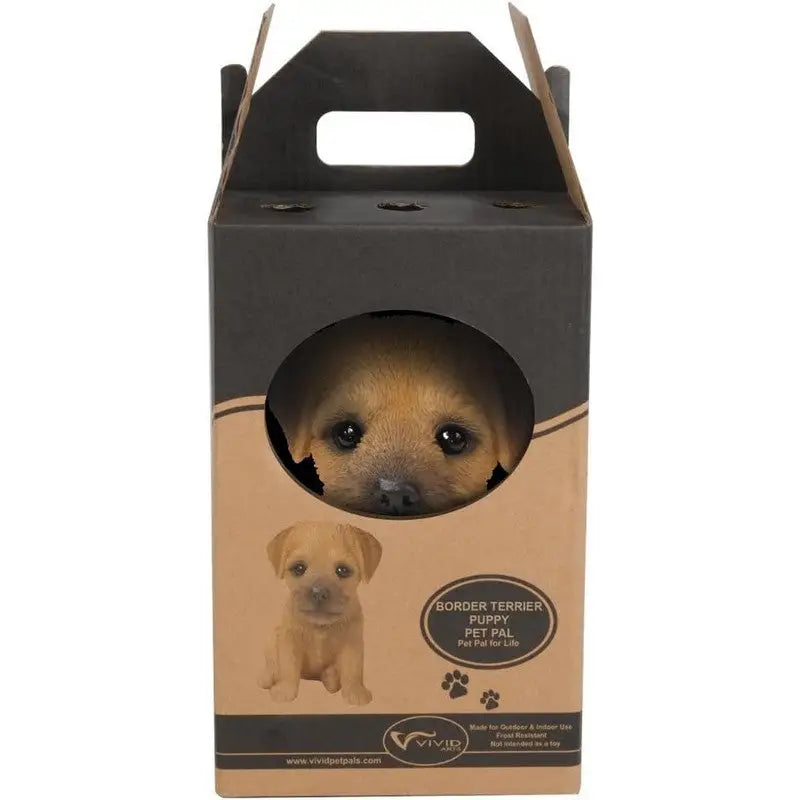 Vivid Arts Pet Pal - Border Terrier Pup - Giftware