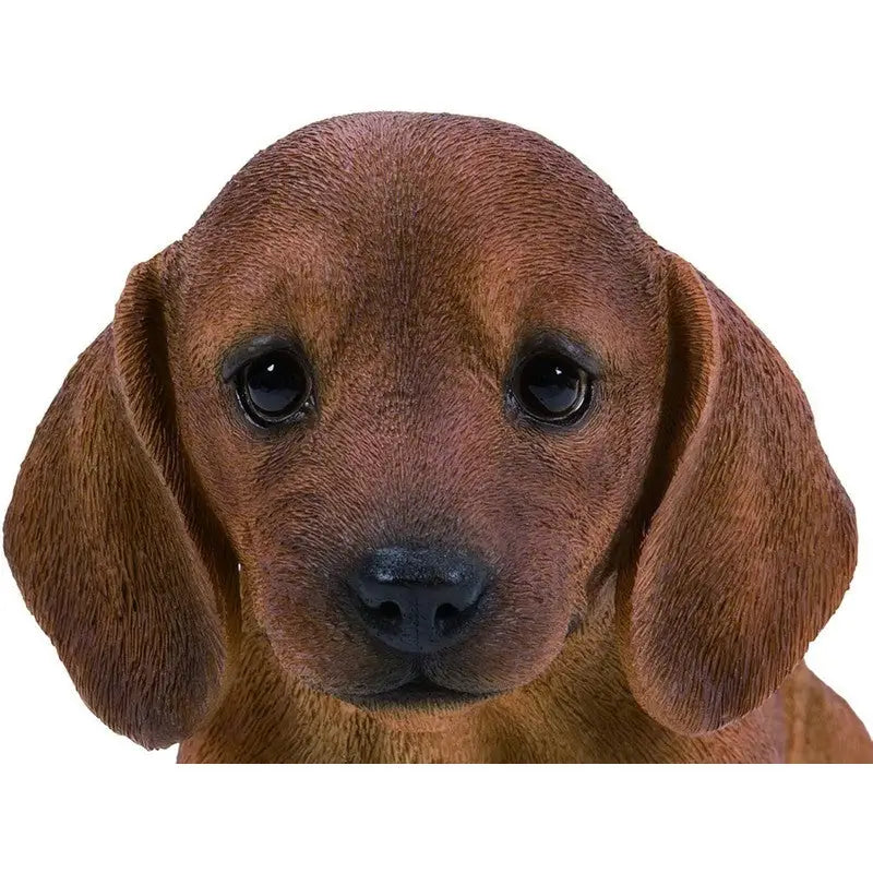 Vivid Arts Pet Pal - Brown Dachshund Puppy - Giftware