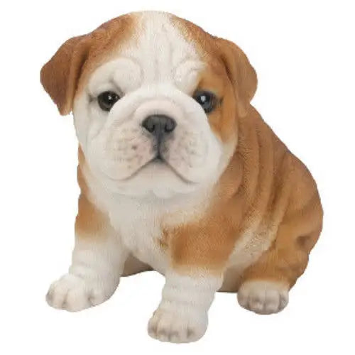 Vivid Arts Pet Pal Bulldog - F - Homeware