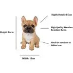 Vivid Arts Pet Pal French Golden Bulldog - Homeware