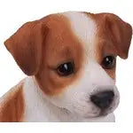 Vivid Arts Pet Pal Jack Russell Pup - F - Homeware