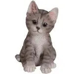 Vivid Arts Pet Pal Kitten Mixed Colour (1 Sent at Random) -
