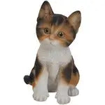Vivid Arts Pet Pal Kitten Mixed Colour (1 Sent at Random) -