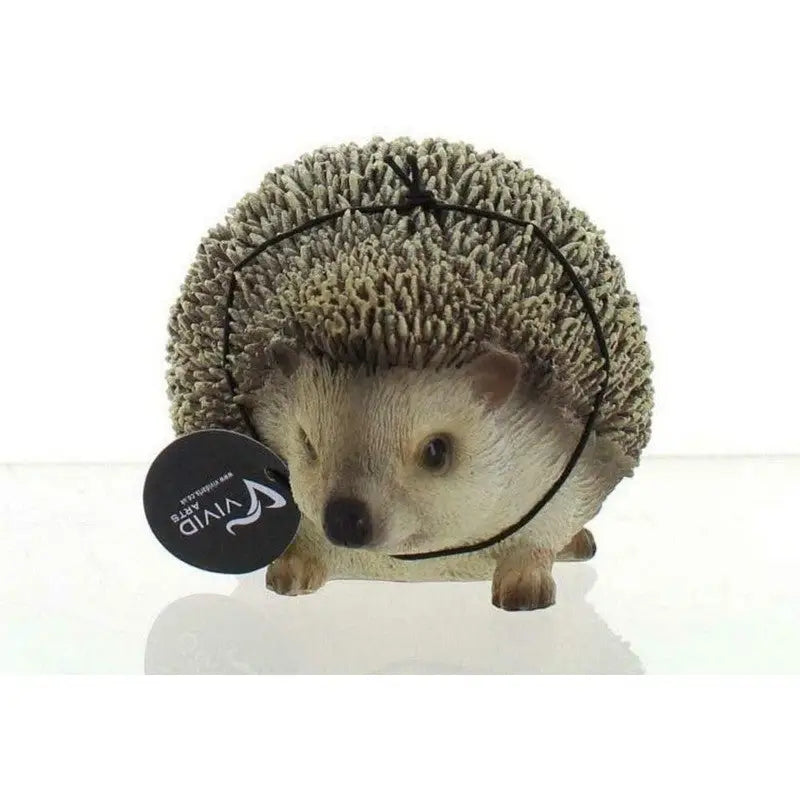 Vivid Arts Pet Pals Frost Resistant Pygmy Hedgehog -