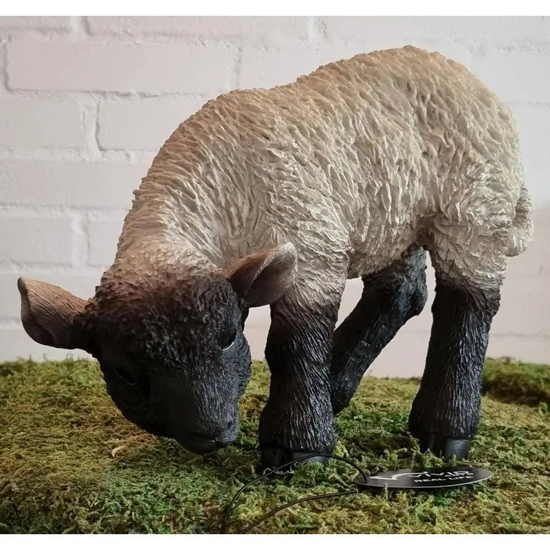 Vivid Arts Real Life Black / White Lamb (Small) Indoor