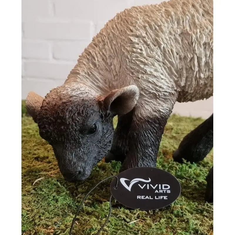 Vivid Arts Real Life Black / White Lamb (Small) Indoor