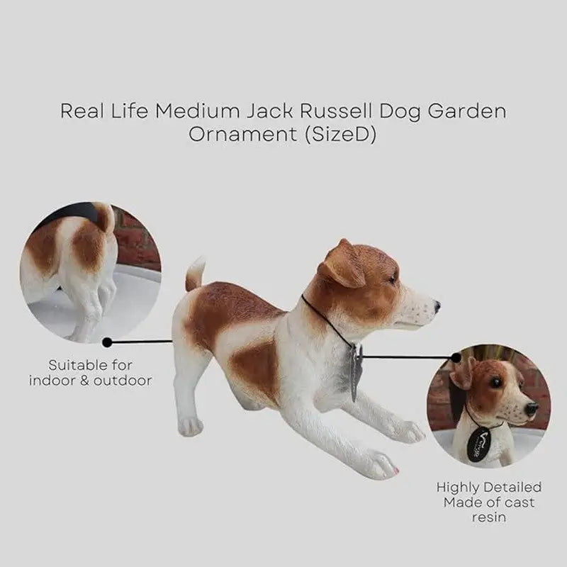 Vivid Arts Real Life - Jack Russell - Giftware
