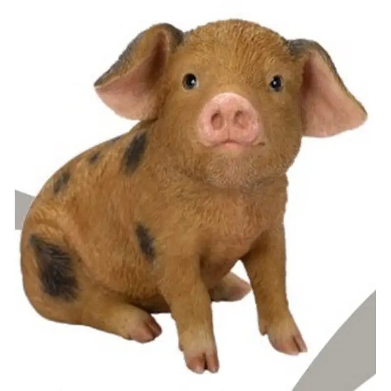 Vivid Arts Real Life - Oxford Sandy & Black Piglet