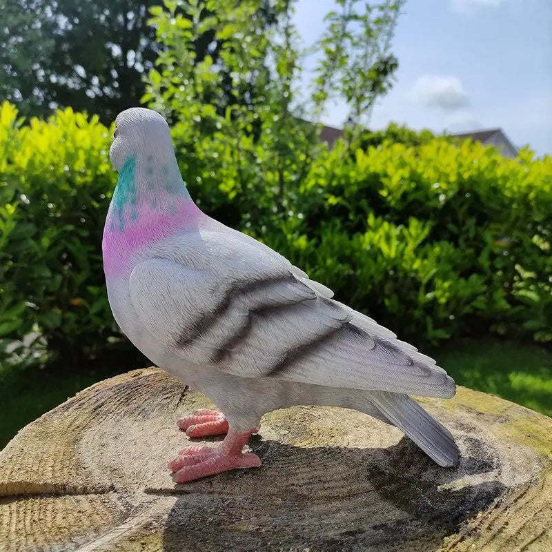Vivid Arts Real Life - Pigeon - Giftware