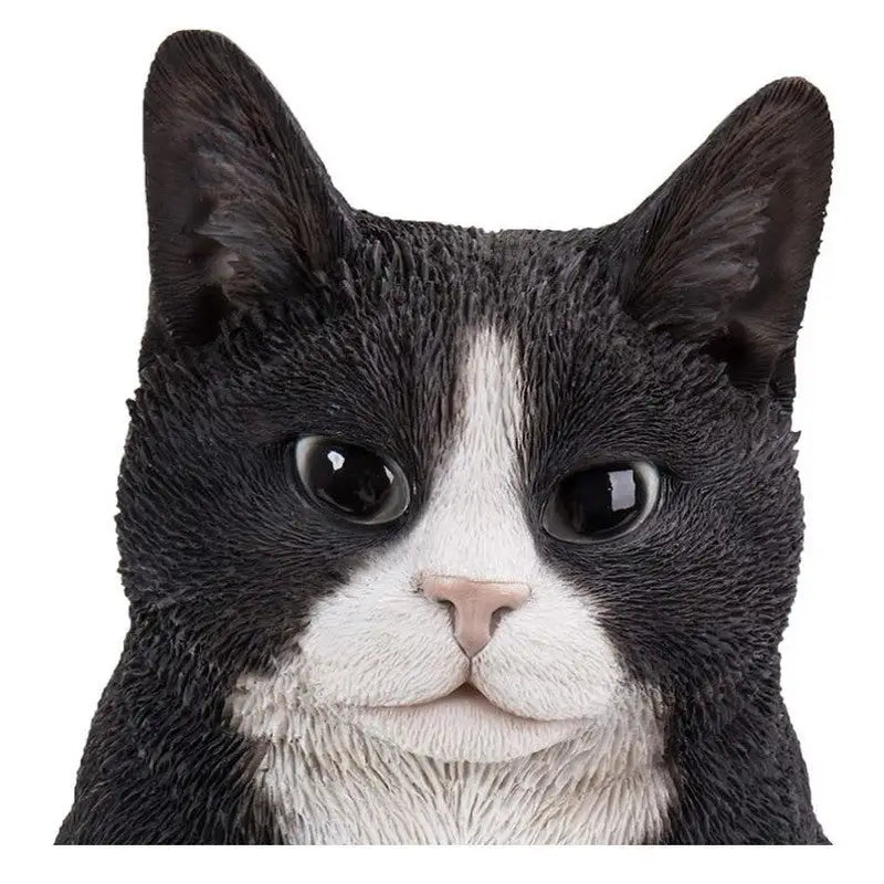 Vivid Arts Real Life Sitting Cat Black / White B Decorative