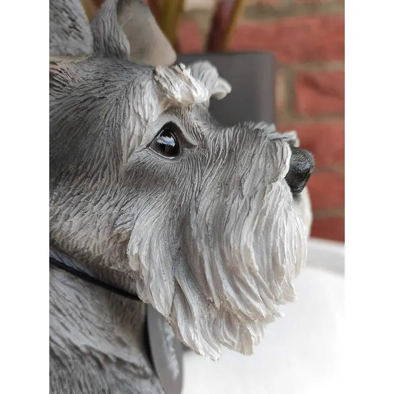 Vivid Arts Real Life - Sitting Miniature Schnauzer