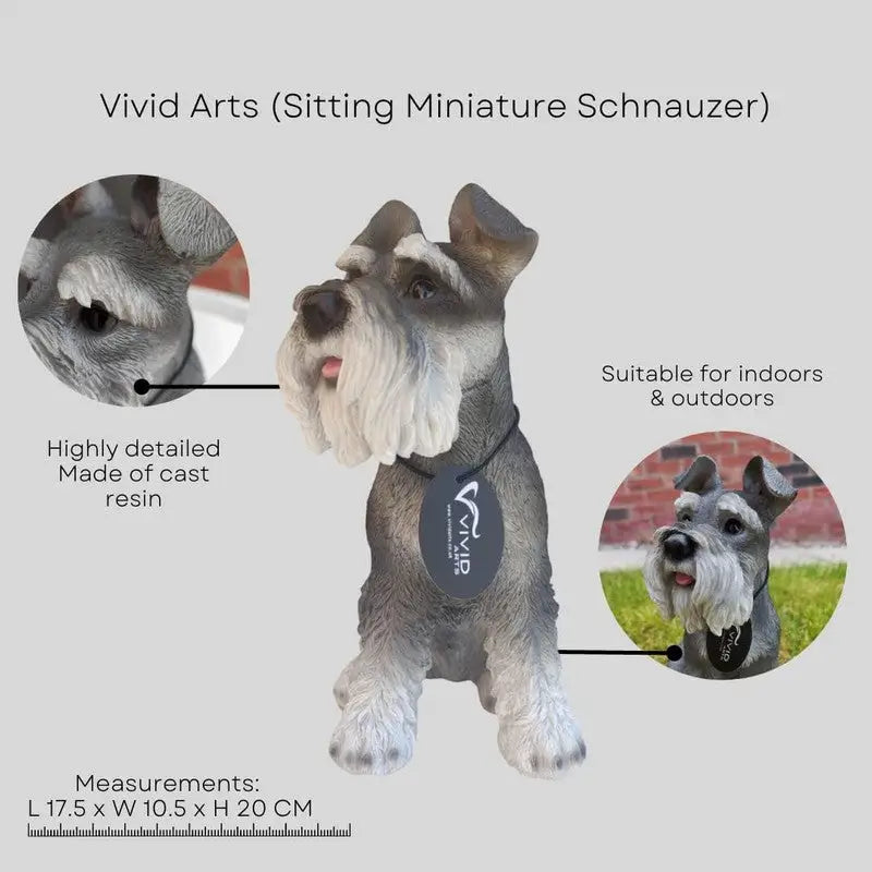 Vivid Arts Real Life - Sitting Miniature Schnauzer