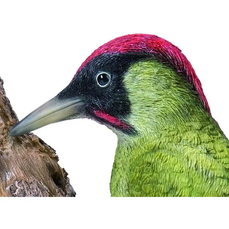 Vivid Arts Wild Bird Care Green - Woodpecker - Giftware